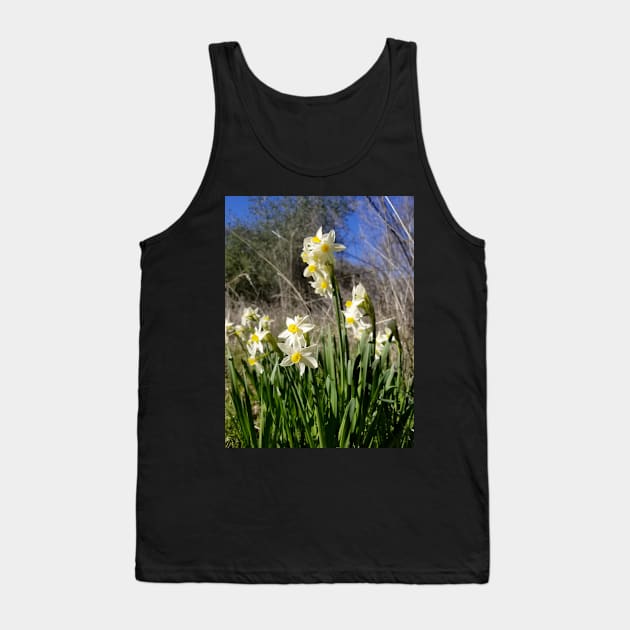 White and Yellow Daffodils Against a Blue California Spring Sky Tank Top by CrysOdenkirk